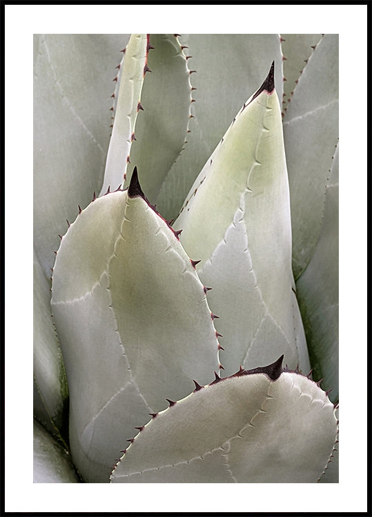 Overlapping (NEW) - Posterbox