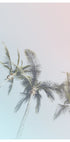 Pastel Palms Bliss (NEW) - Posterbox