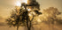 Popping sunrise.... (NEW) - Posterbox