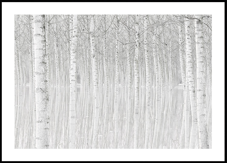 Trees | Posterbox