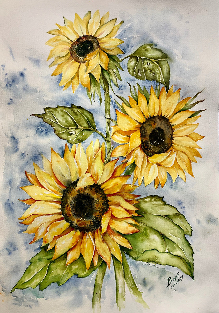 Sunflowers - Posterbox