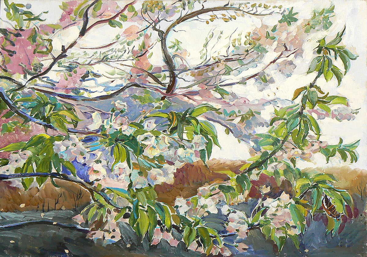 Cherry Blossoms In Spring (NEW) - Posterbox