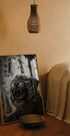 Angry Tiger Poster - Posterbox.dk