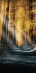 Autumn Forest Poster - Posterbox.dk