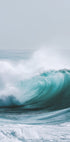 Ocean Wave in Motion (NEW) - Posterbox