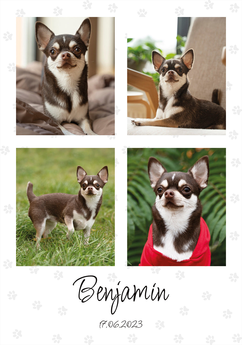 Pet Photo Collage Personal - Posterbox