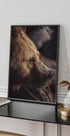 Bear in Profile Poster - Posterbox.dk