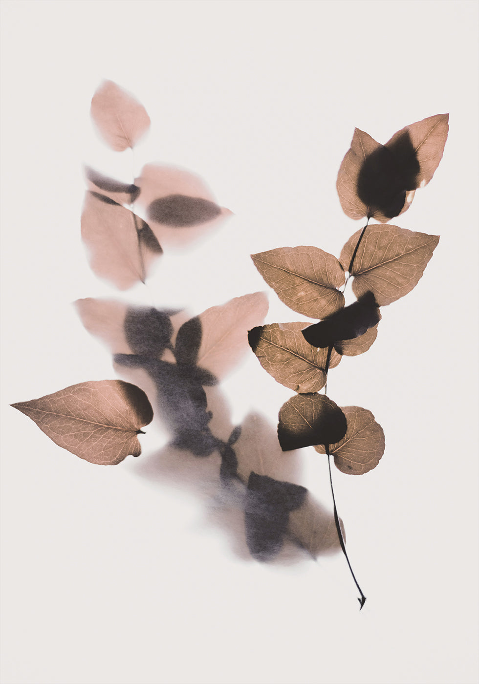 Brown Leaves Poster - Posterbox.dk