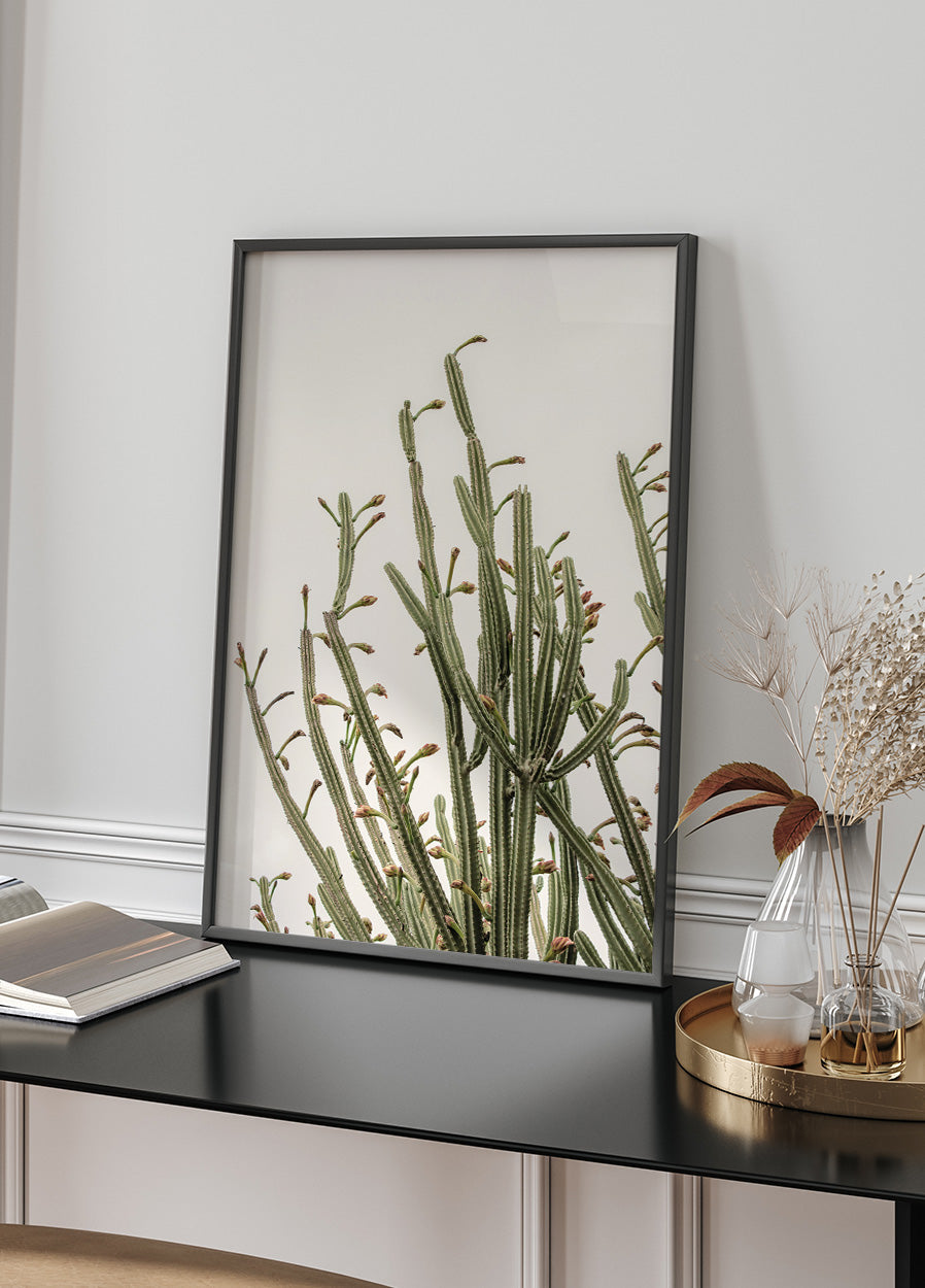 Cactus Poster - Posterbox.dk