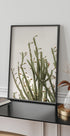 Cactus Poster - Posterbox.dk