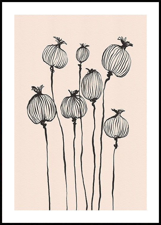 Poppy Pods Plakat - Posterbox