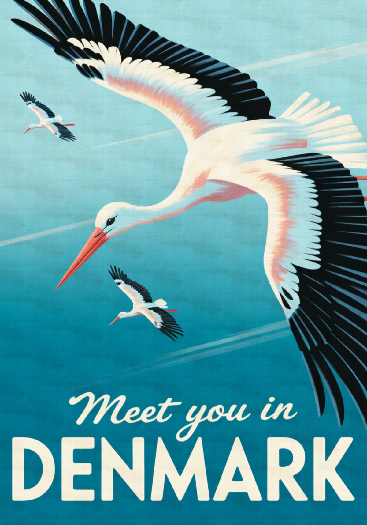 Flying Storks Denmark