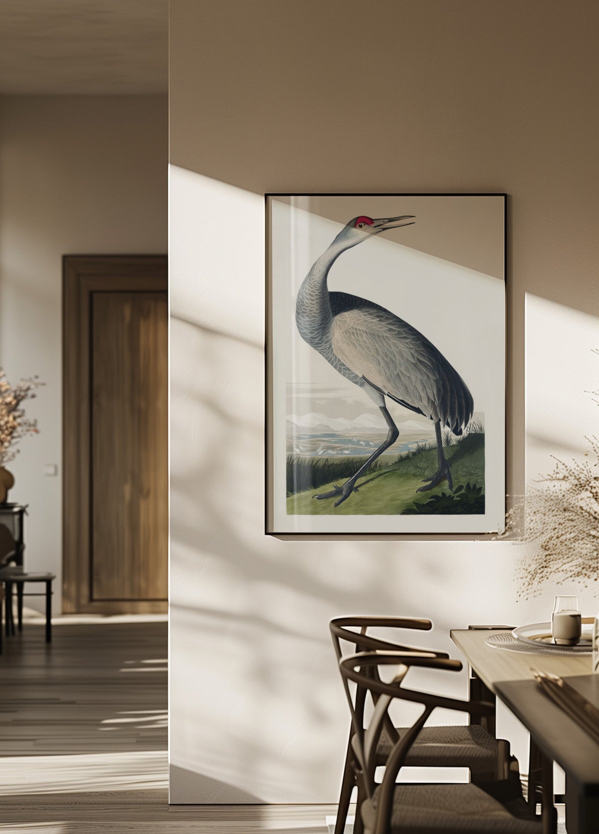 Whooping Crane From Birds of America (1827)