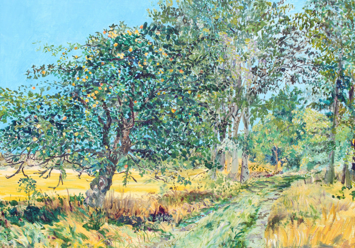 Sunny Orchard Path