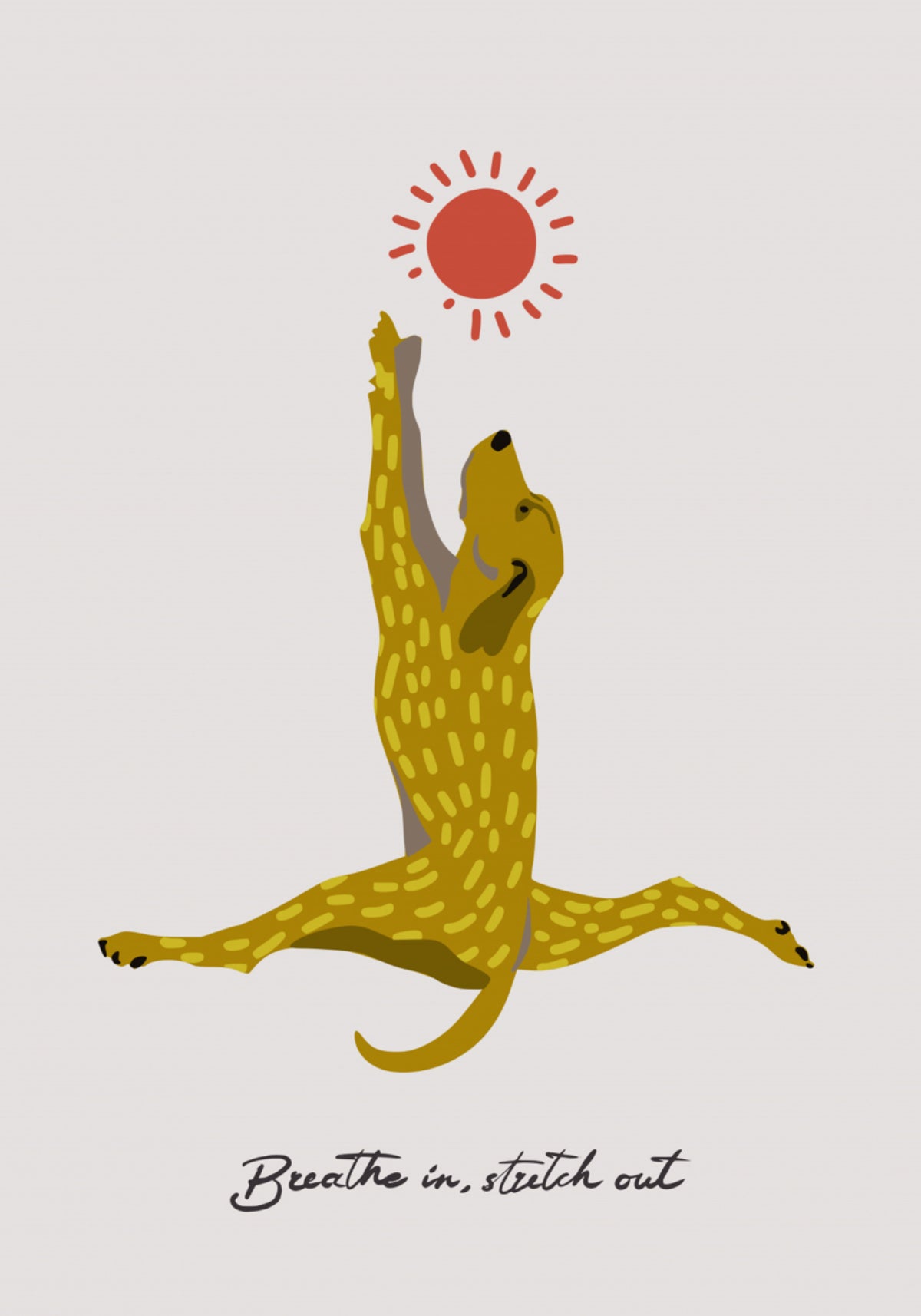 Stretching Dog Sun
