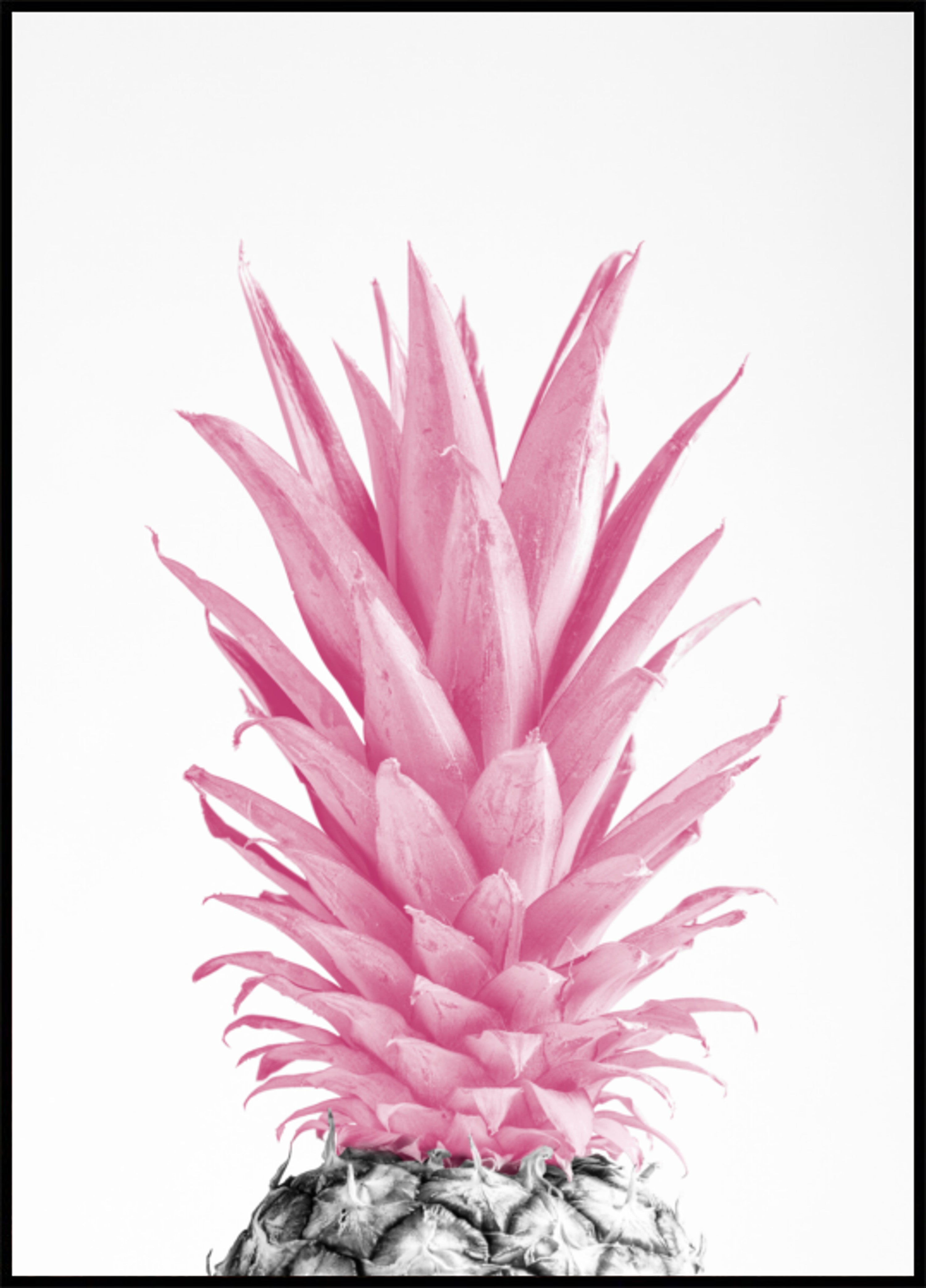 Tropical Pink Pineapple