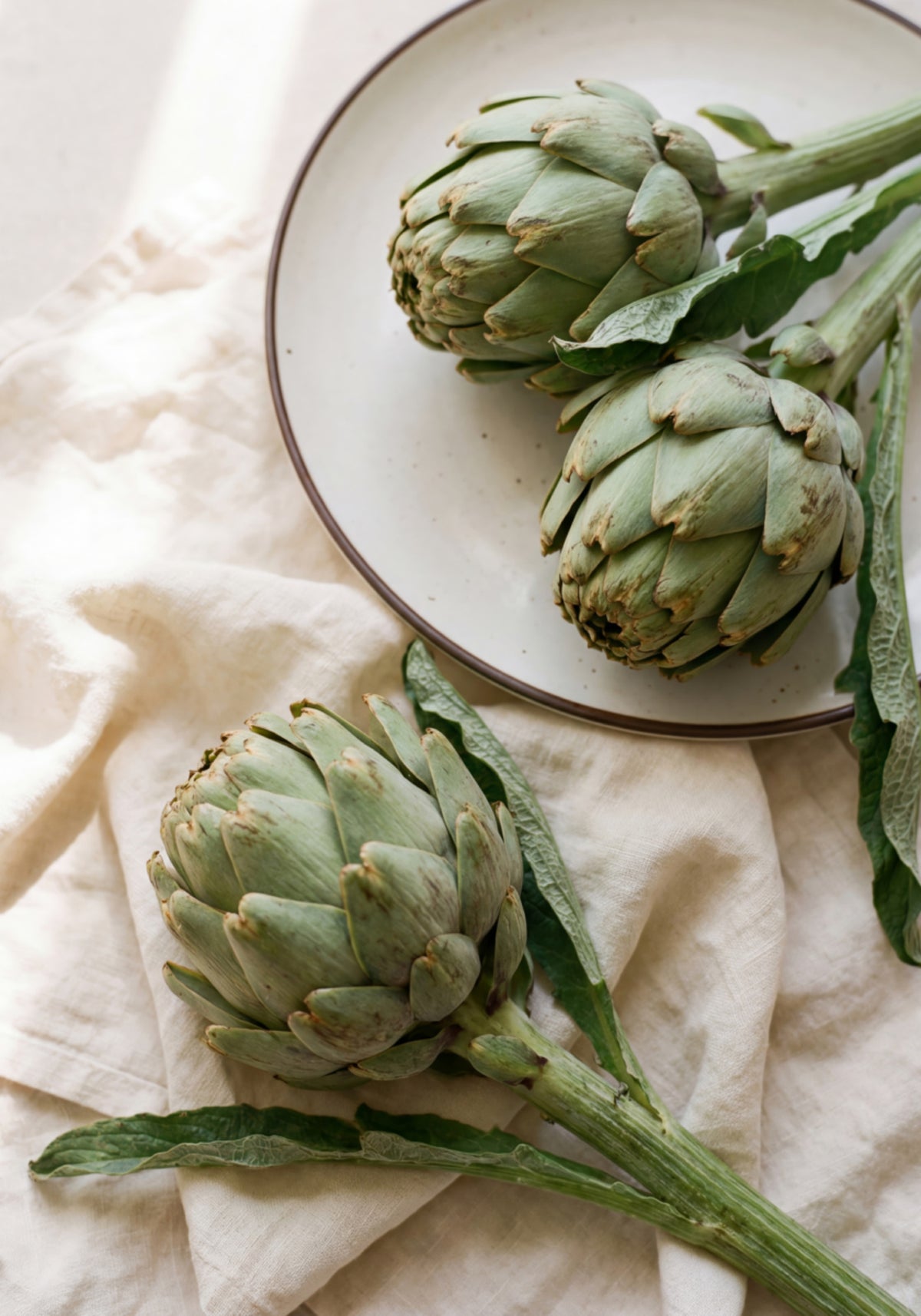 Fresh Green Artichokes