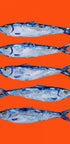 Sardines On Orange - Posterbox