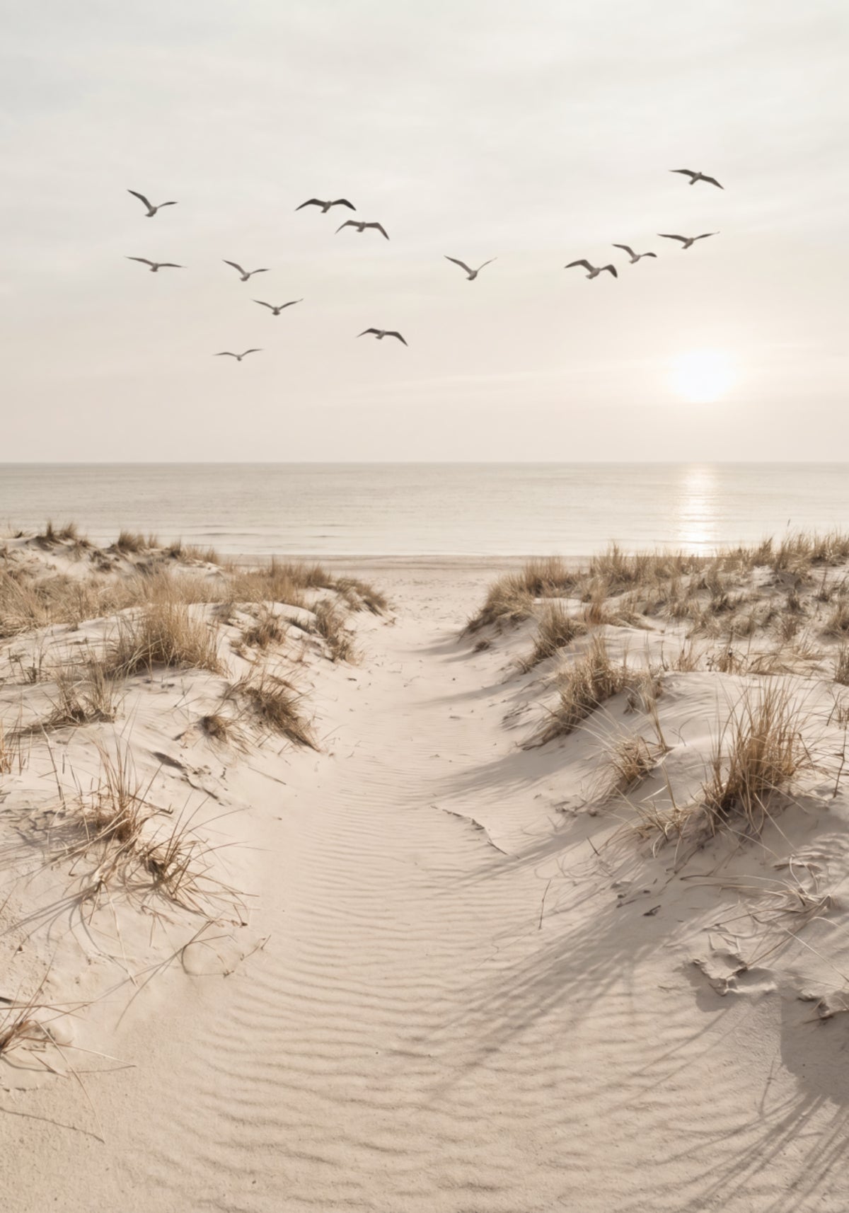 Peaceful Sandy Path