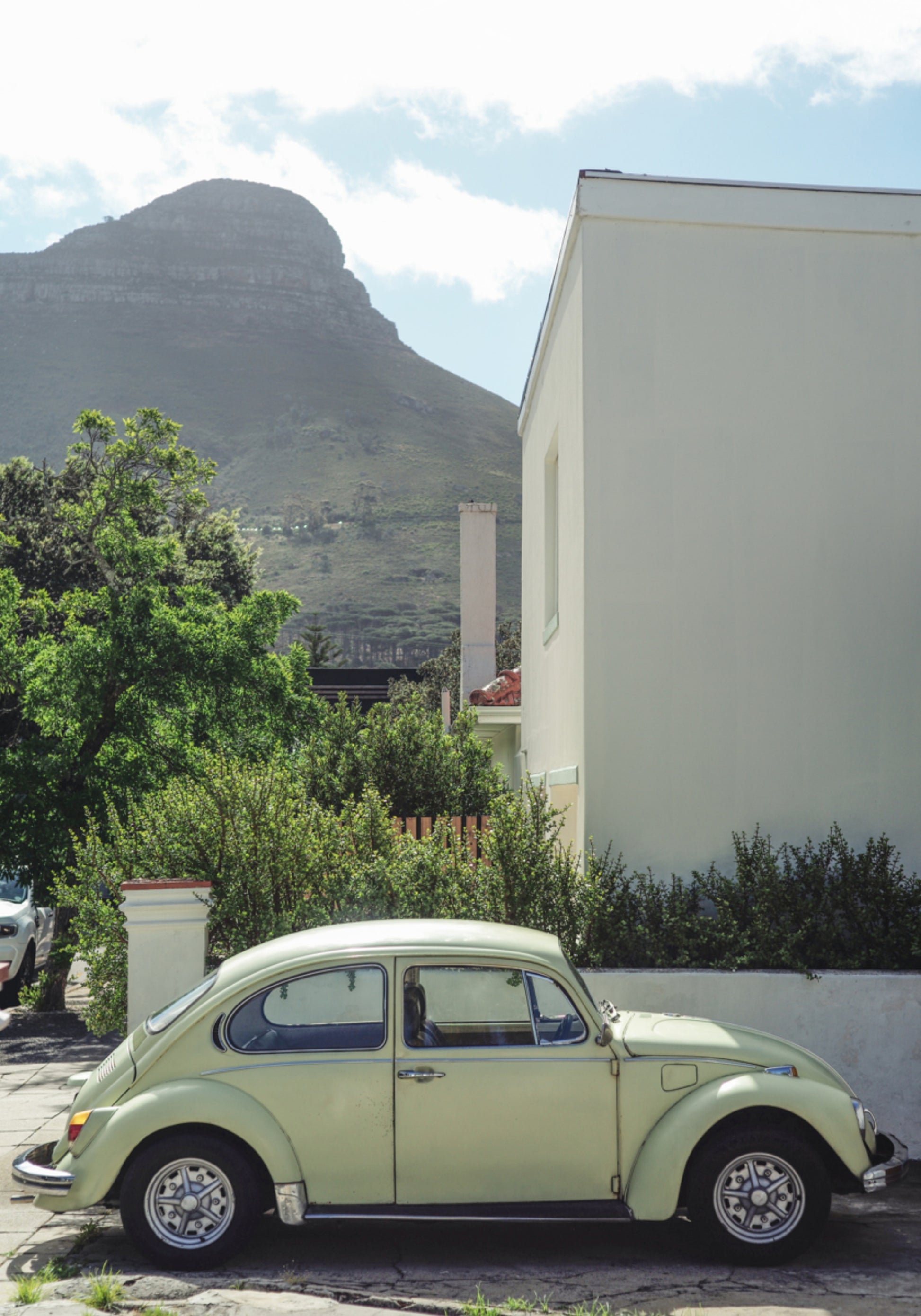Cape Town Beetle Mountain