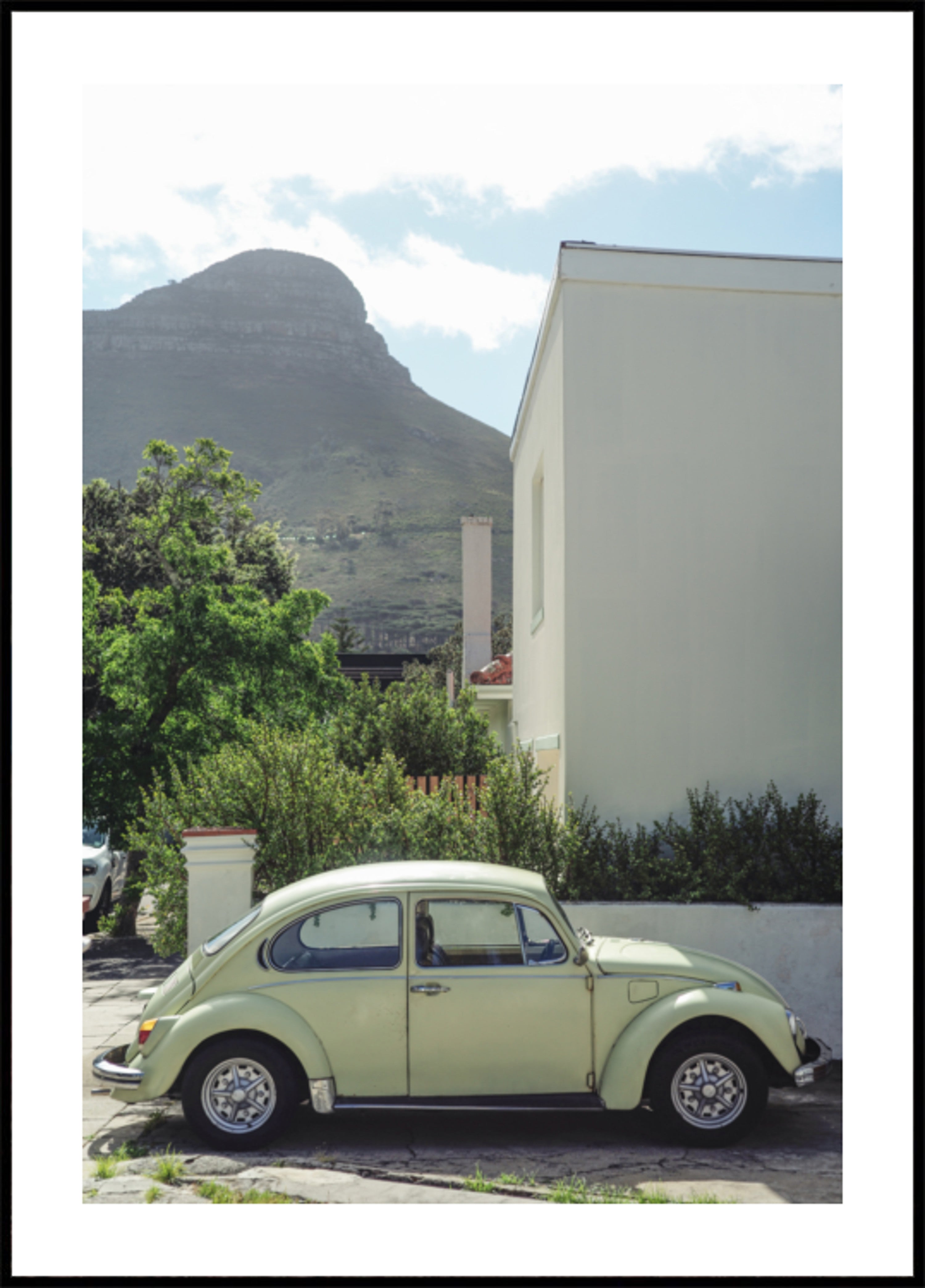 Cape Town Beetle Mountain