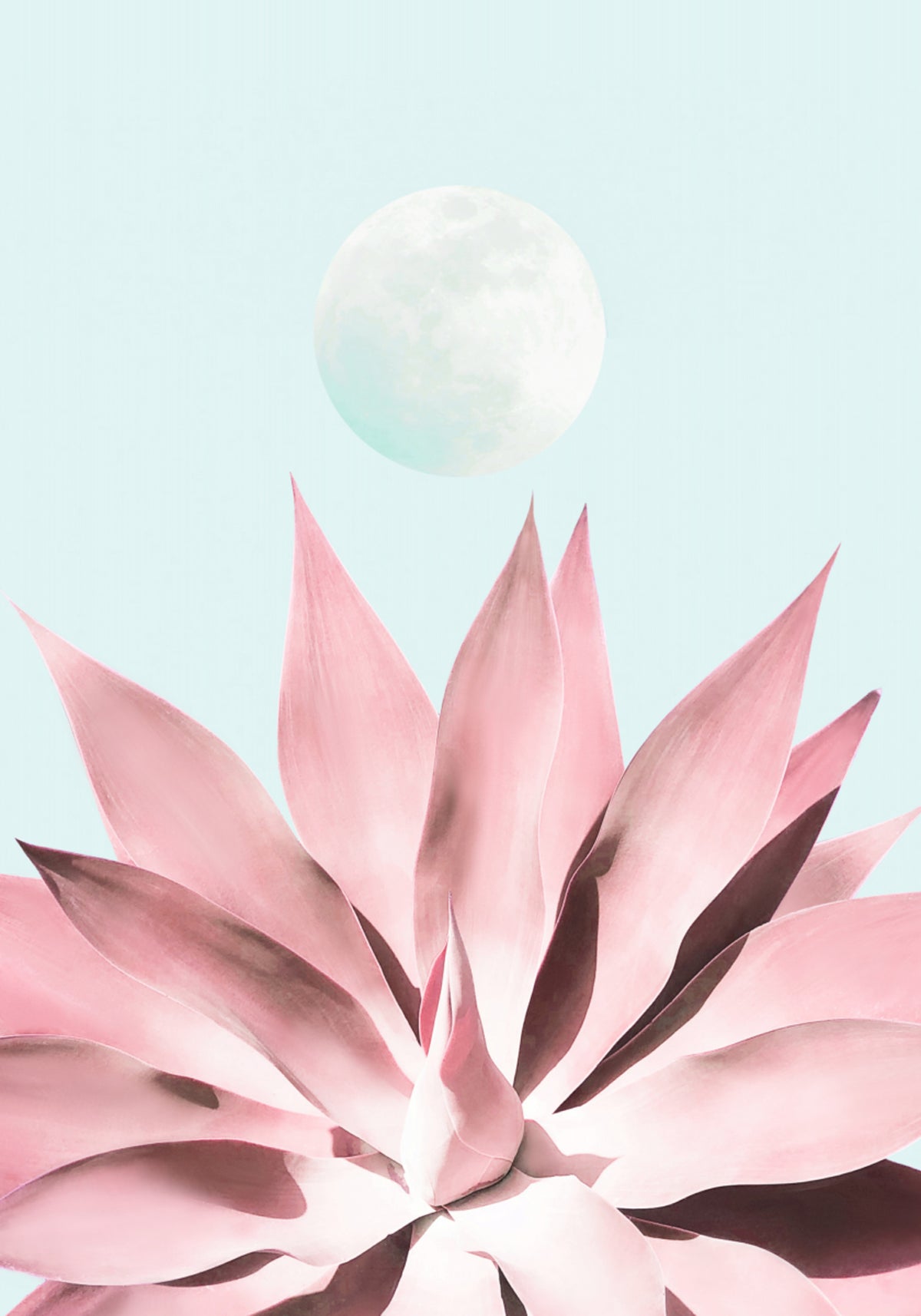 Pink Succulent Moon