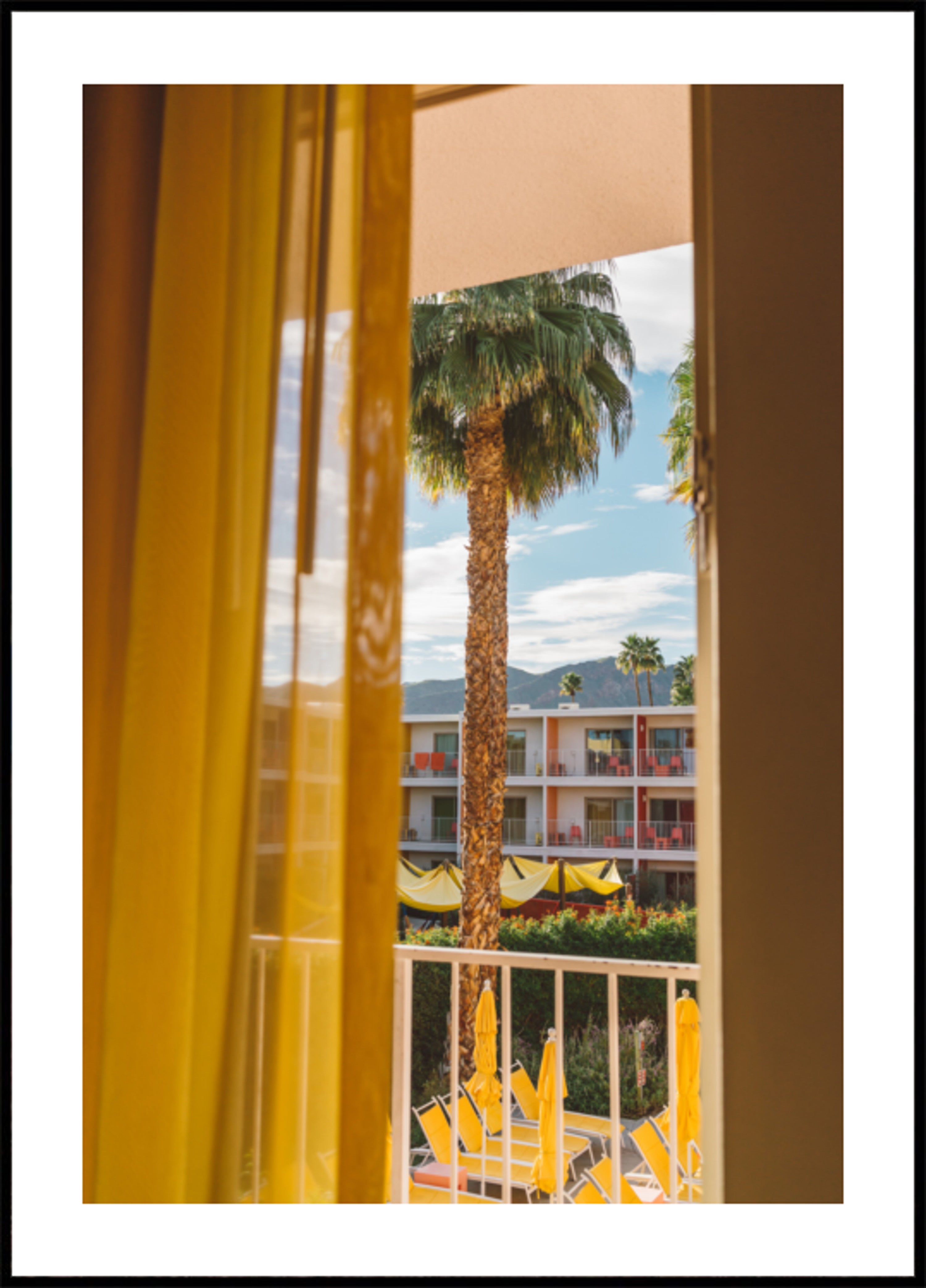 Palm Tree Resort View