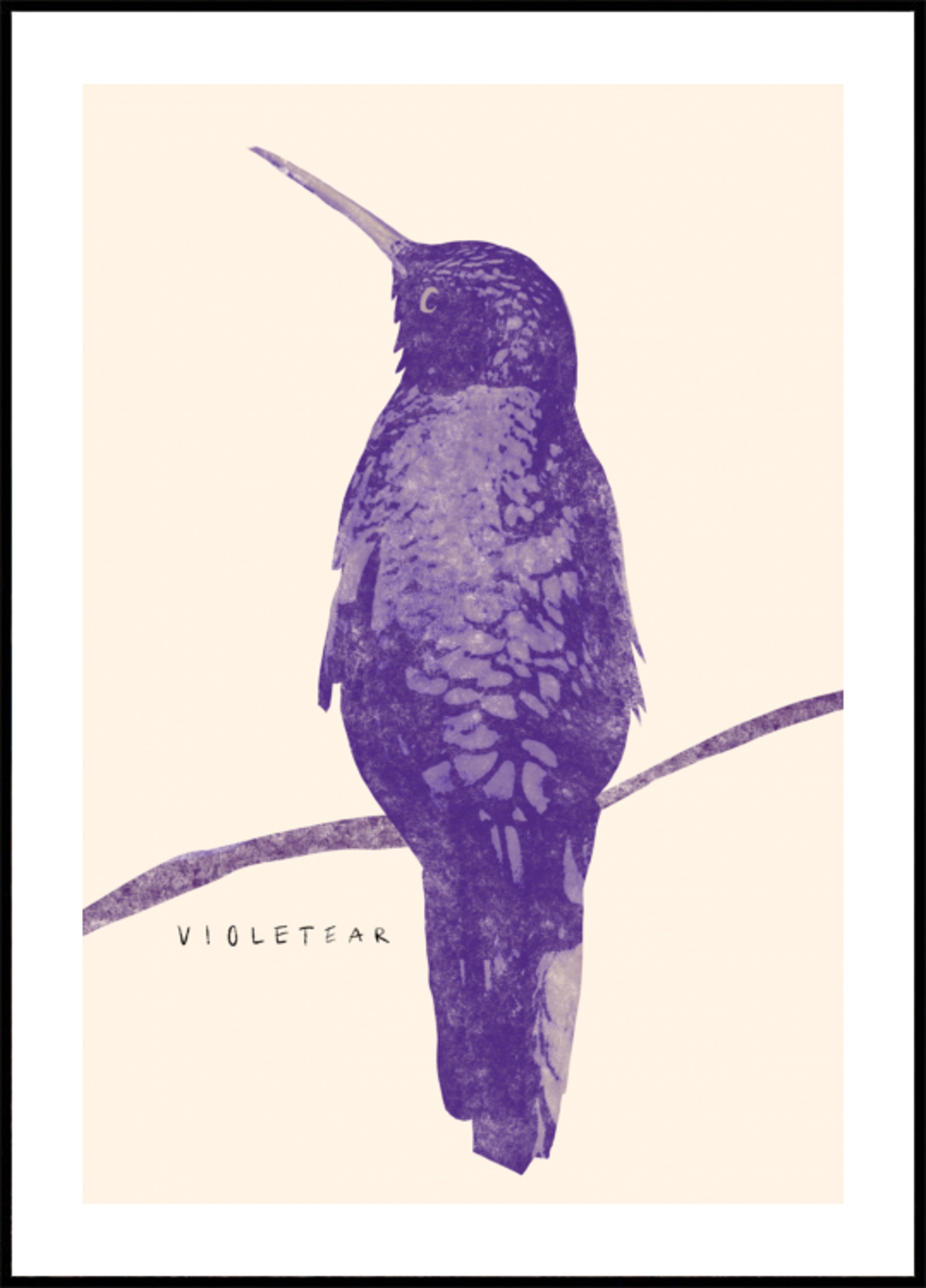 Elegant Violet Hummingbird