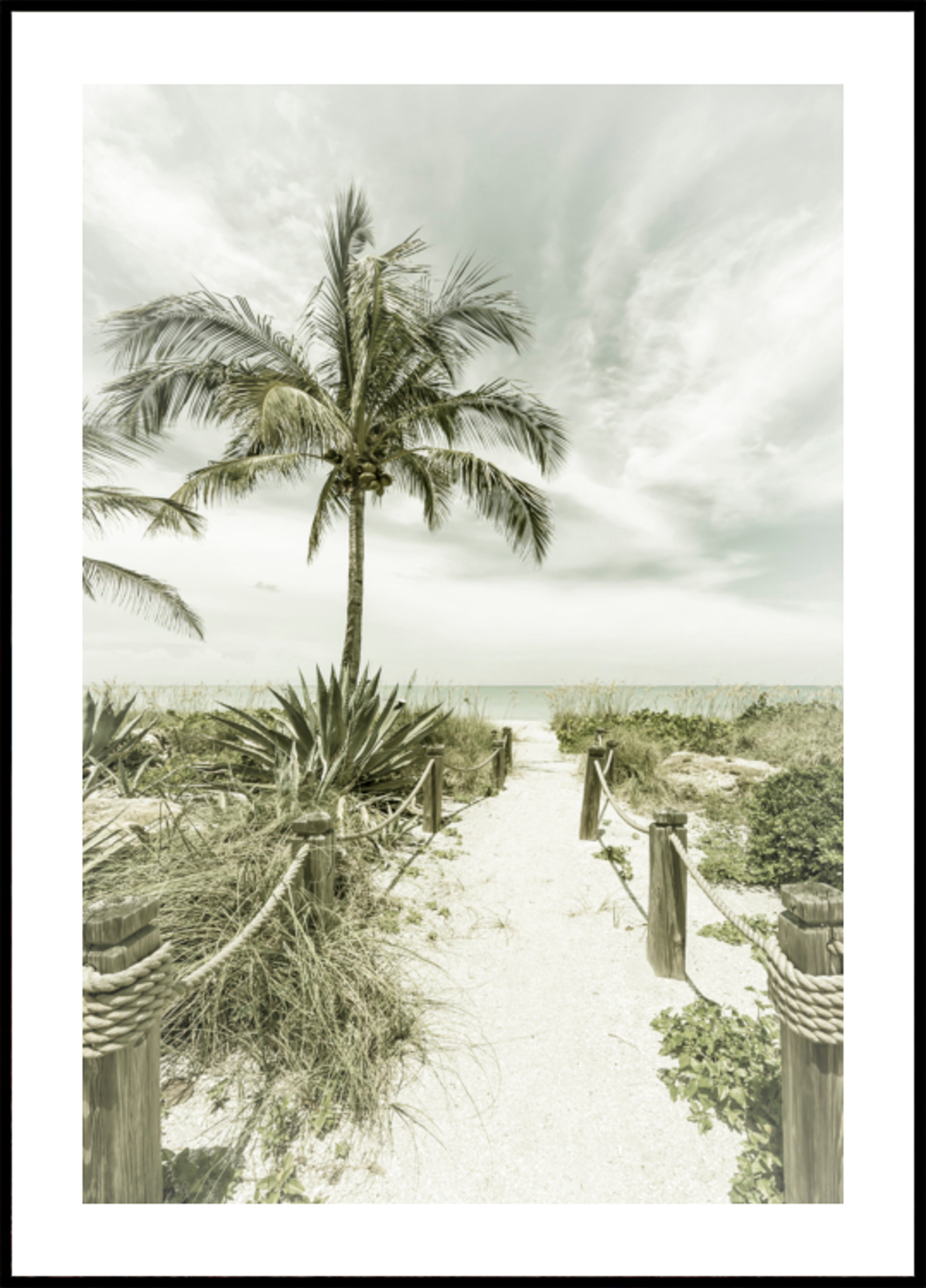 Tropical Beach Pathway