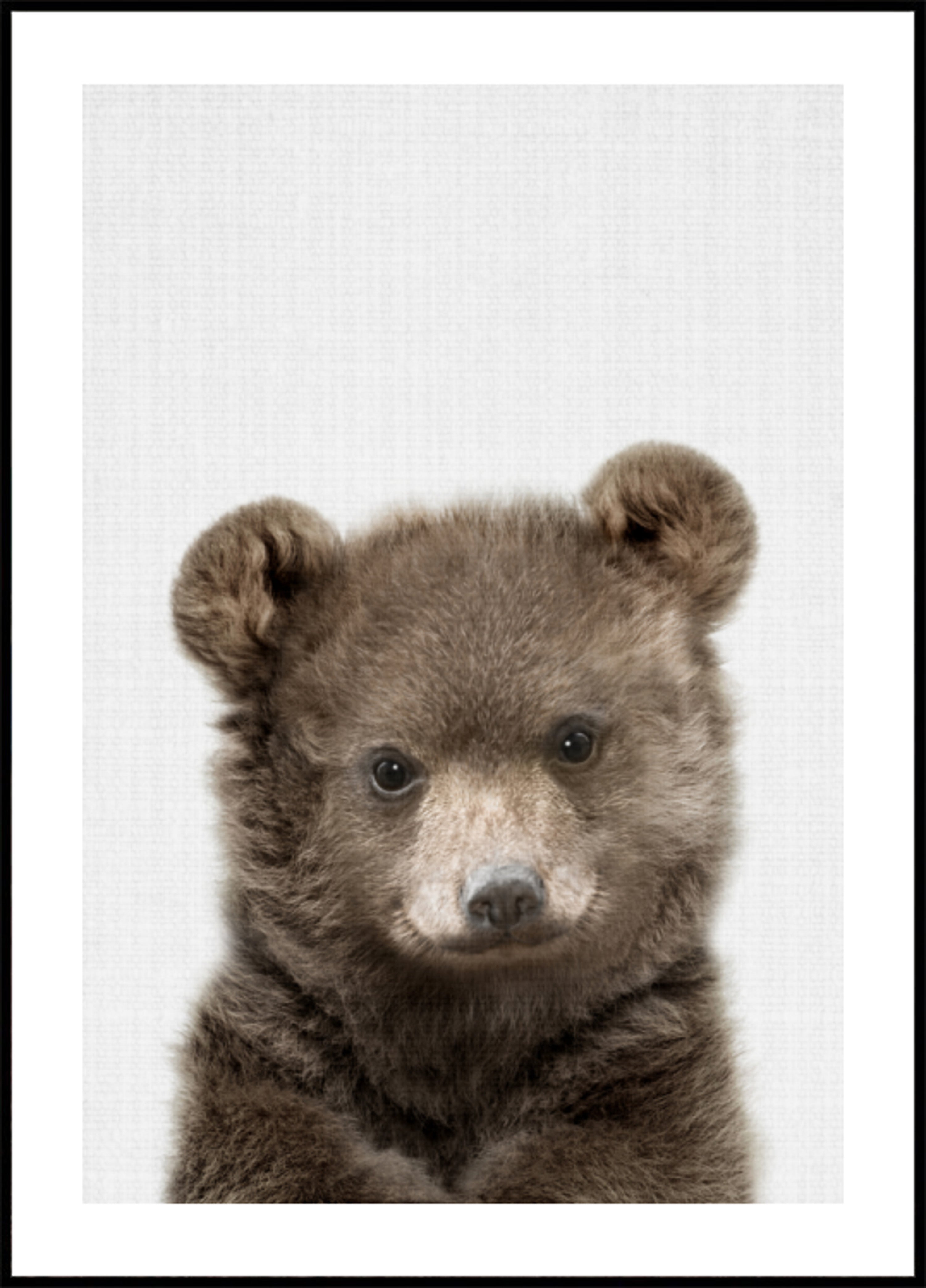 Cute Bear Cub