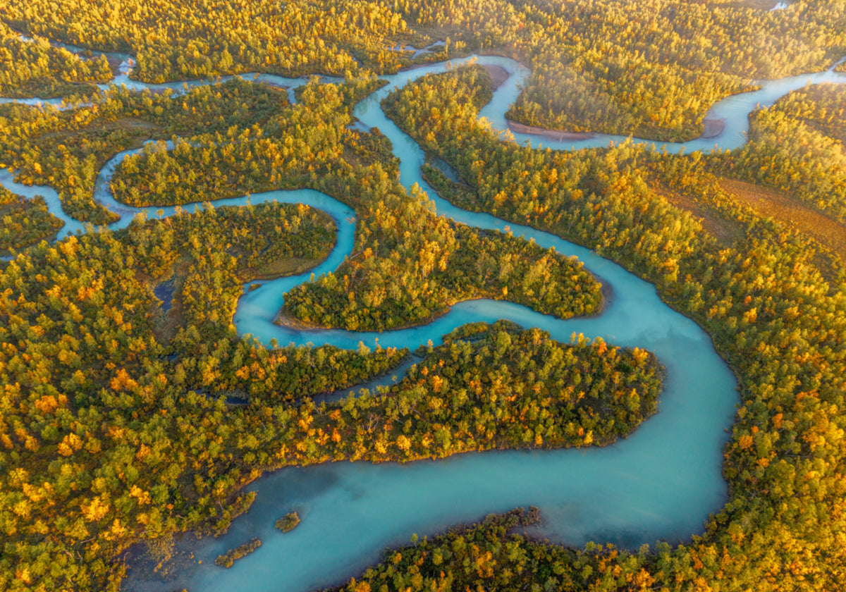 Winding River Autumn Forest
