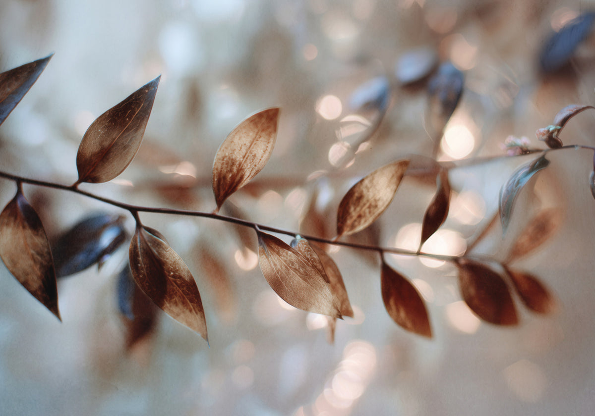 Delicate Bokeh Leaves