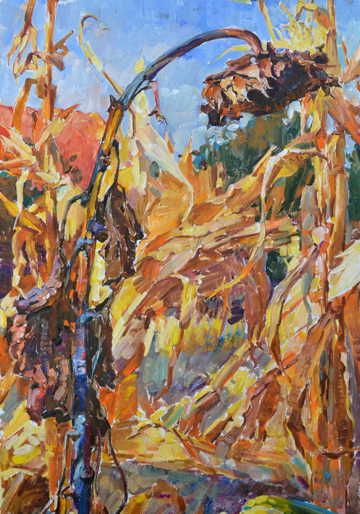 Golden Autumn Harvest
