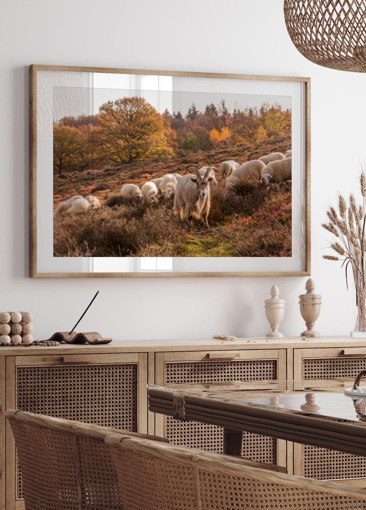 Autumn Goat and Sheep