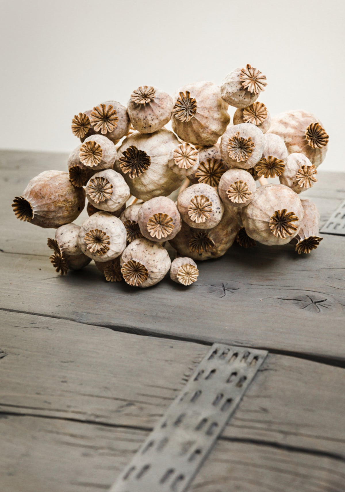 Rustic Poppy Pods