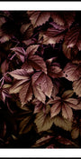 Autumn Leaves 13