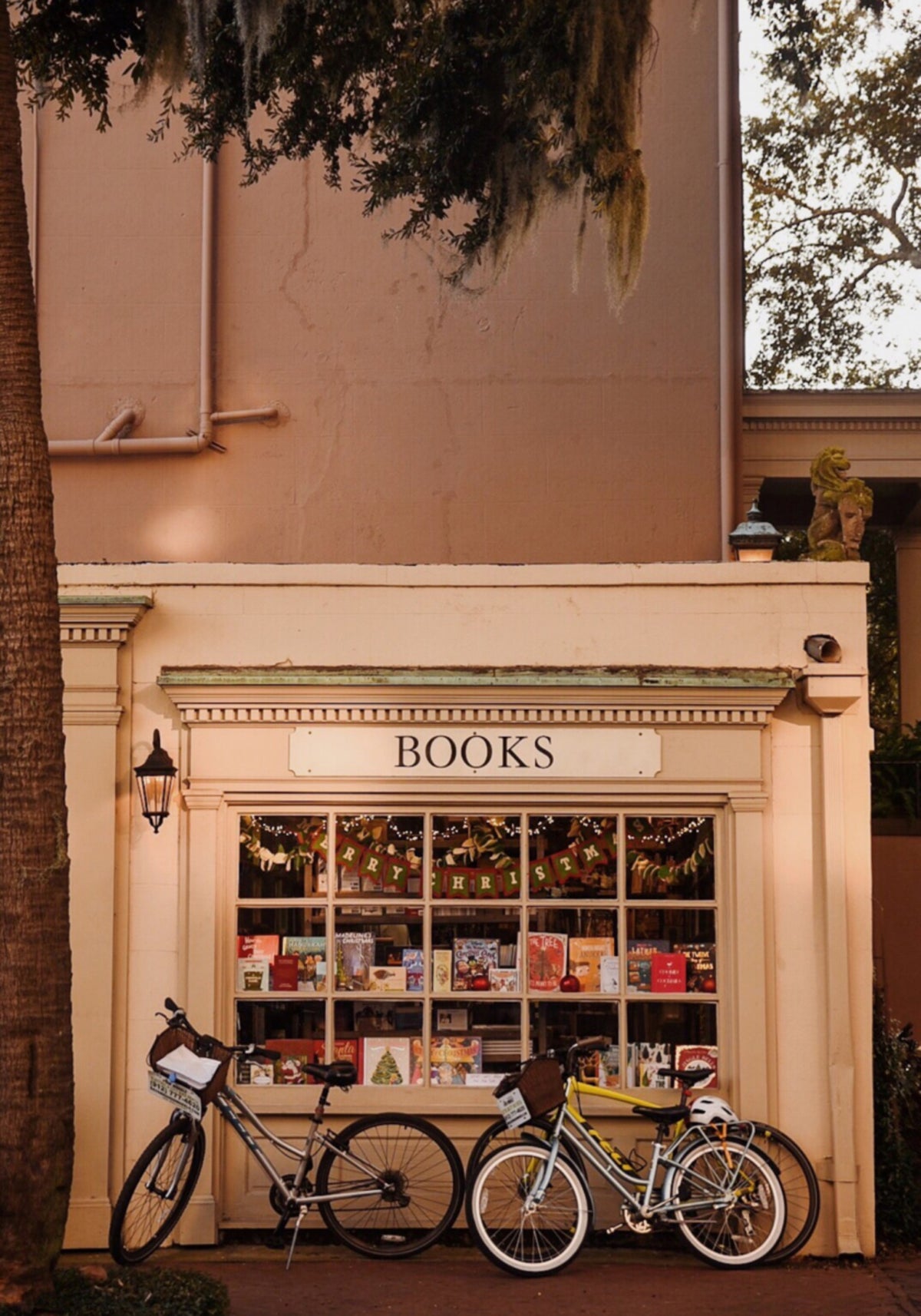 Charming Bookstore Street Scene