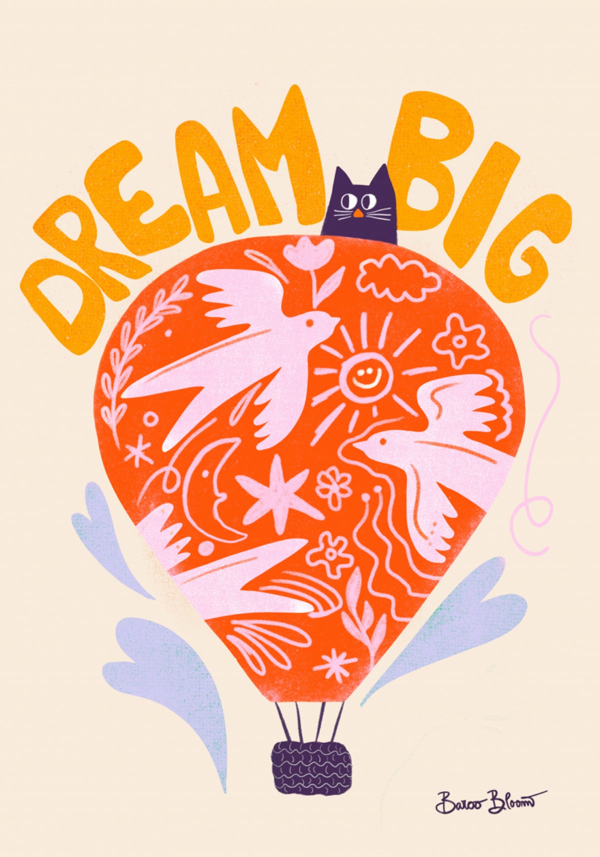 Dream Big Hot Air Balloon