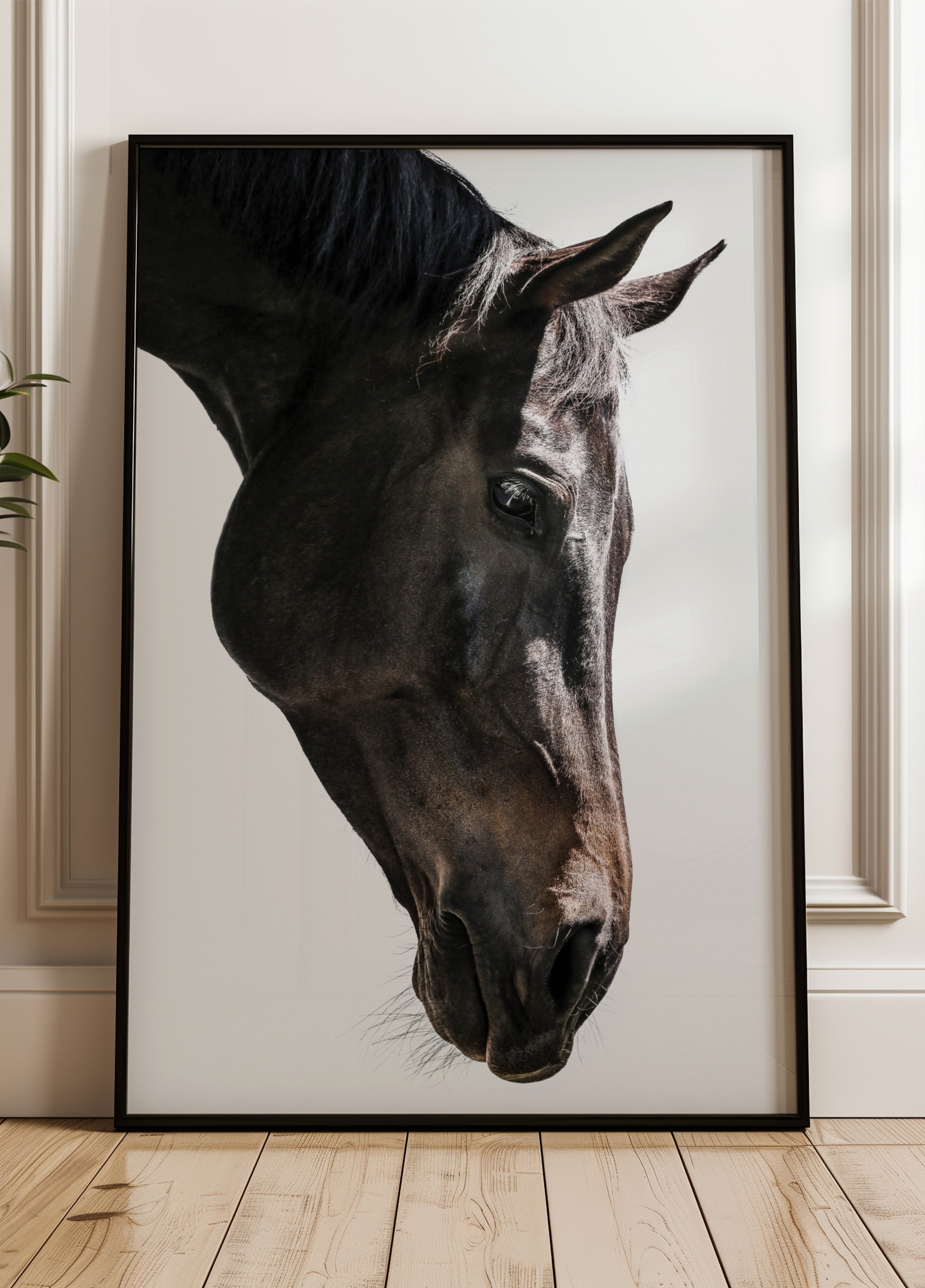 Gentle Equine Gauze