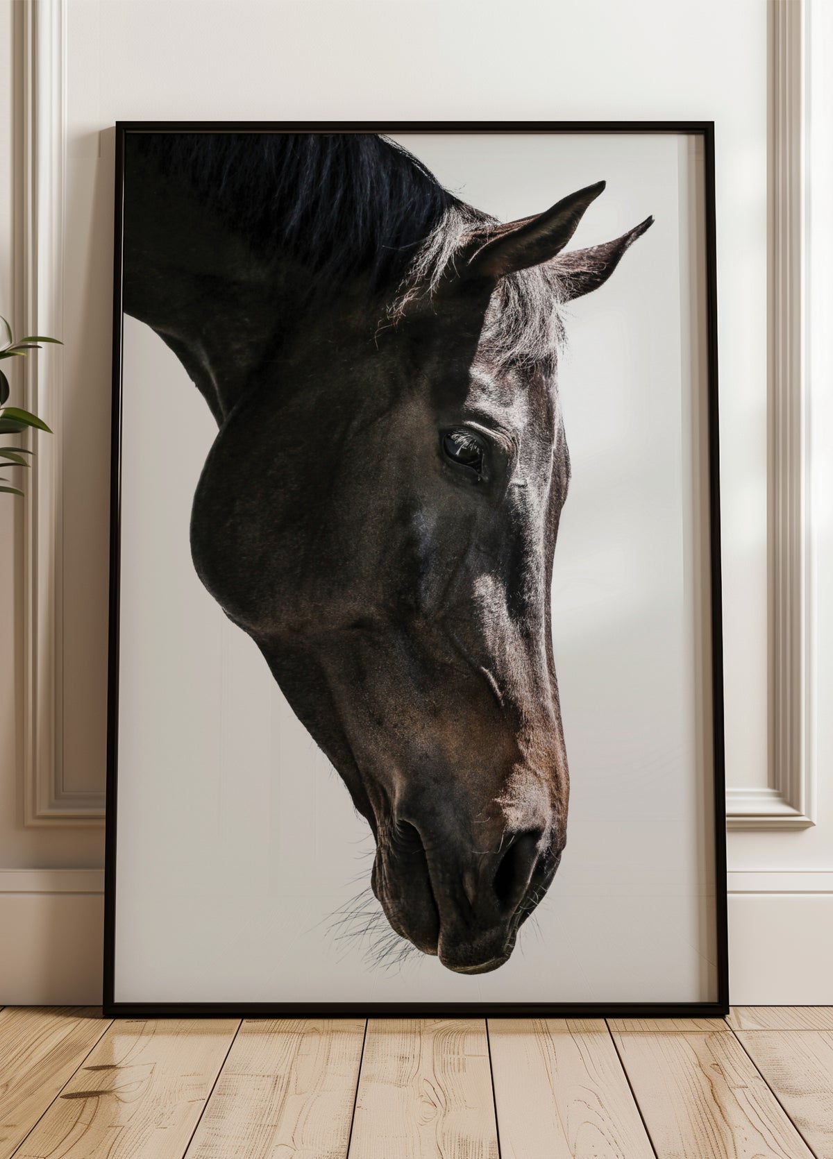 Gentle Equine Gauze