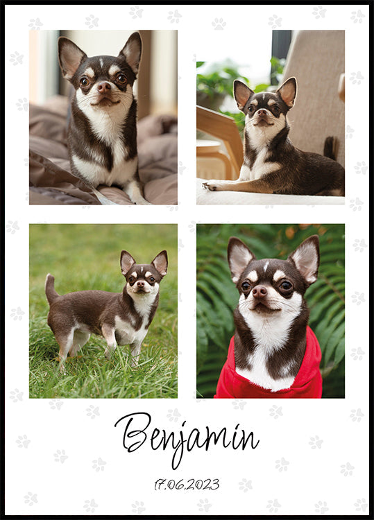 Pet Photo Collage Personal - Posterbox
