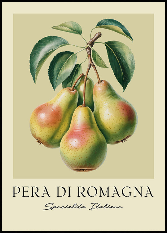 Pera Di Romagna (NEW) - Posterbox