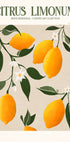 Golden Citrus Delight Plakat - Posterbox