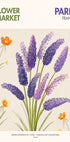 Lavender Blooms (NEW) - Posterbox