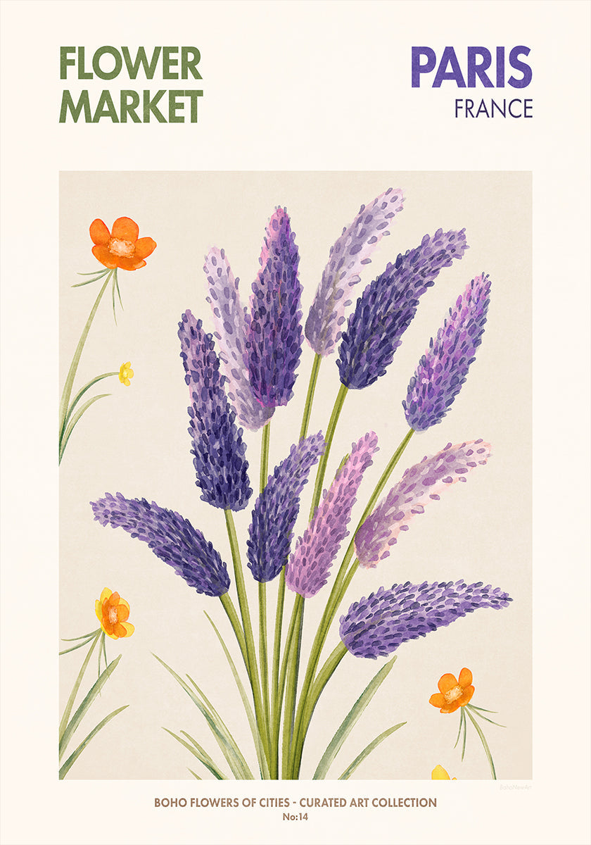 Lavender Blooms (NEW) - Posterbox