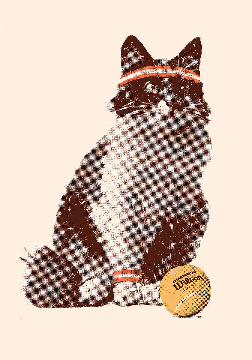 Chat Tennis Plakat - Posterbox