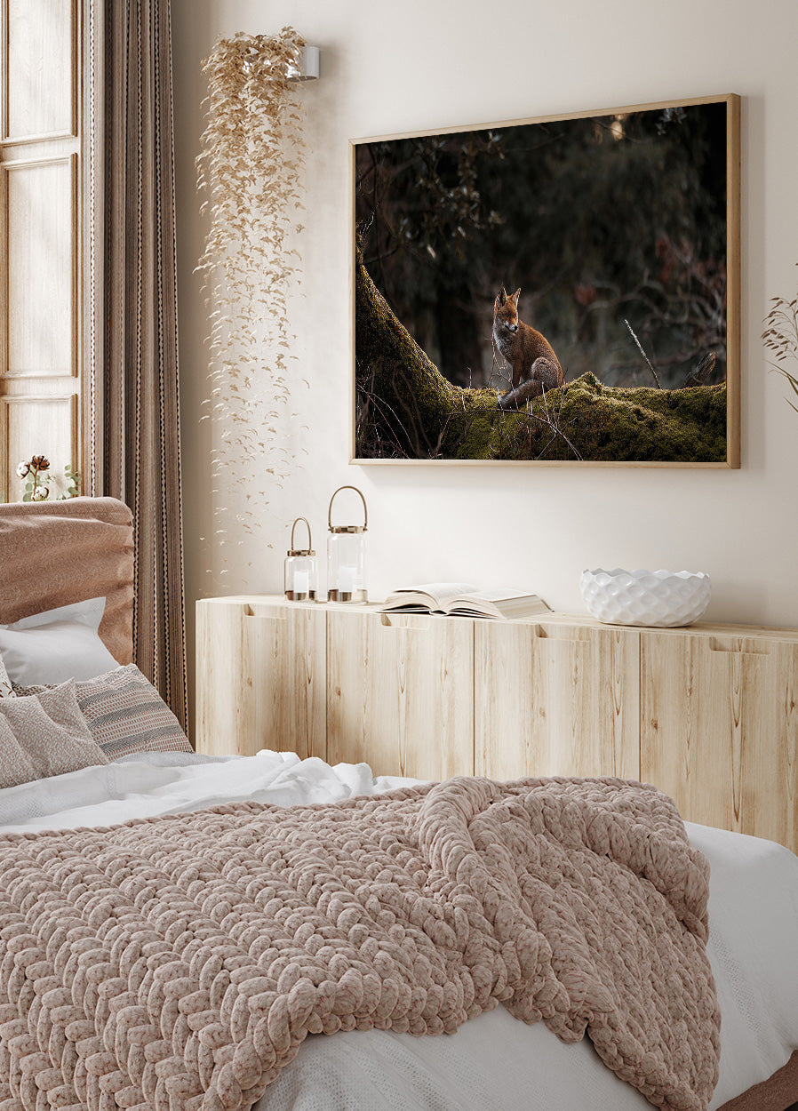 Fox in The Forest Poster - Posterbox.dk