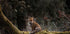 Fox in The Forest Poster - Posterbox.dk
