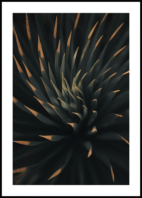 Spiral Plant Texture Poster - Posterbox.dk