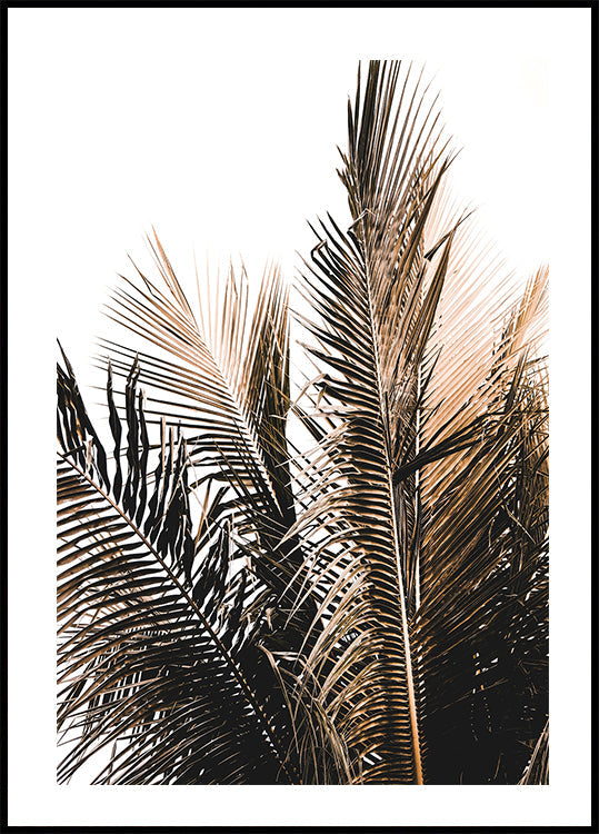 Palm Leaves No. 1 Poster - Posterbox.dk